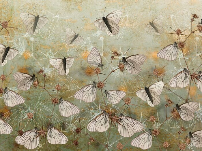 Poster Butterflies on thorns painted on the grunge green wall. Beautiful design for postcard, card, picture, mural, wallpaper, photo wallpaper.