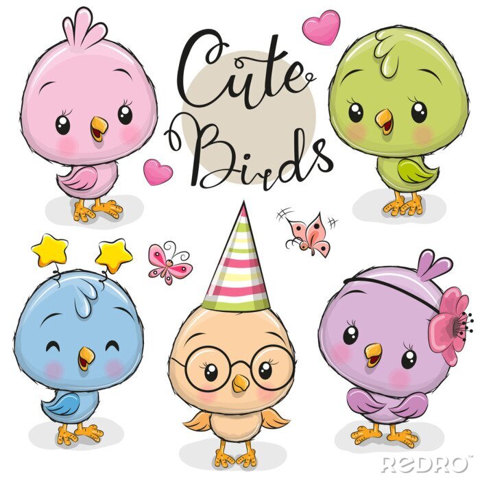 Poster Cartoon-Vögel für Kinder