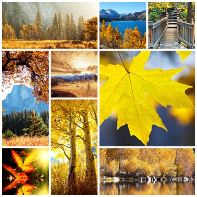 Poster Collage mit der Herbstlandschaft