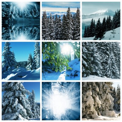 Poster Collage mit der Winterlandschaft