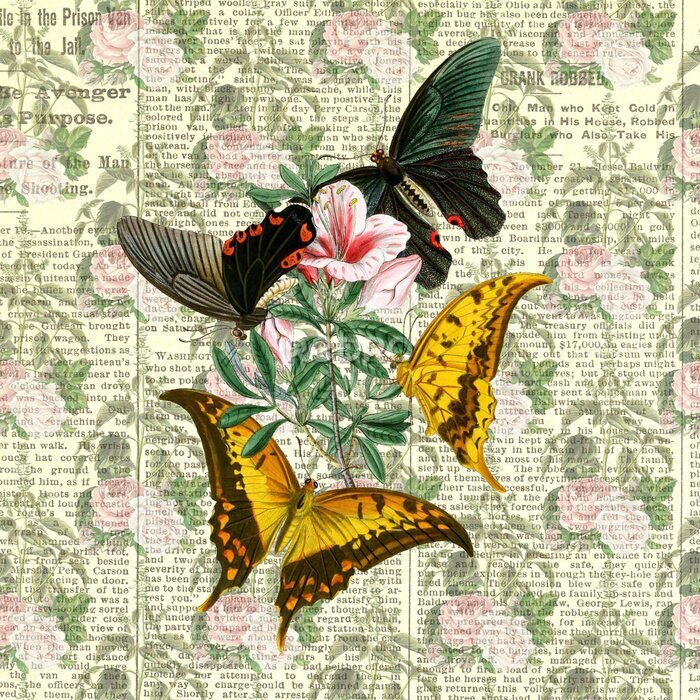 Poster Collage mit Schmetterlingen auf Zeitschriftenhintergrund
