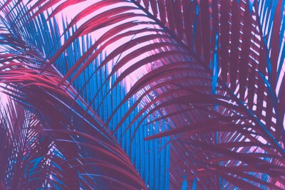 Copy space pink tropical palm tree on sky abstract background. Summer vacation and nature travel adventure concept.
