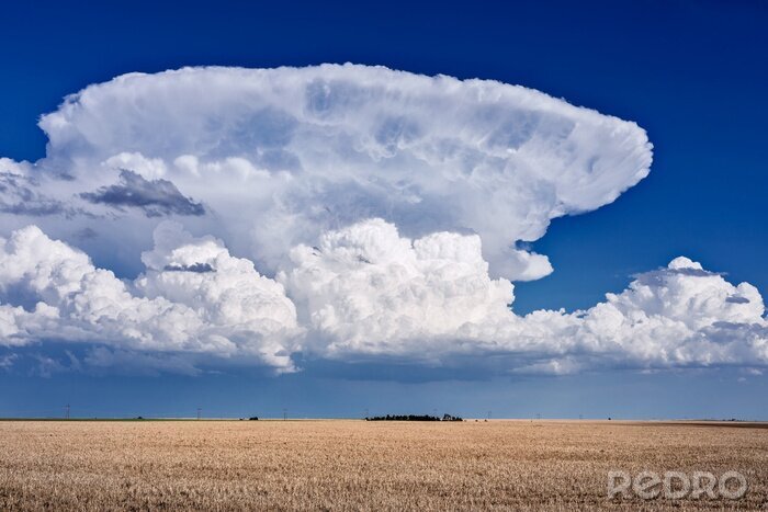 Poster Cumulonimbus-Wolken
