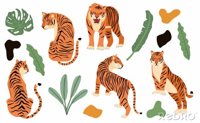 Poster Cute animal object collection with leopard,tiger. illustration for icon,logo,sticker,printable