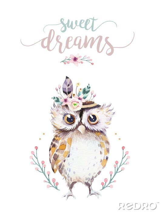 Poster Cute bohemian baby owl animal for kindergarten, woodland nursery isolated decoration forest owls illustration for children forest animals pattern. Watercolor hand drawn boho set