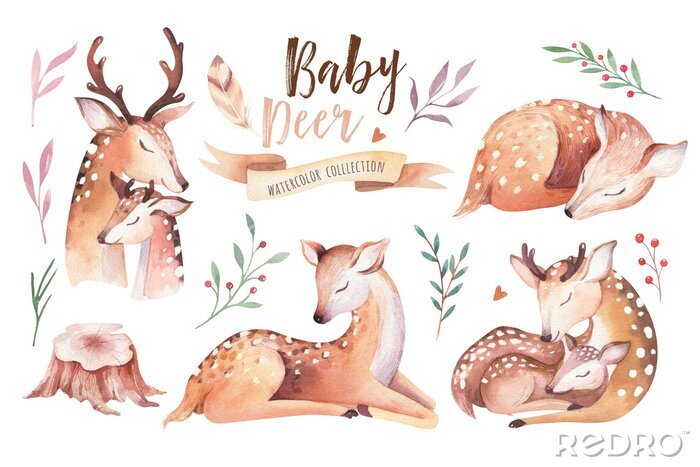 Poster Cute watercolor baby deer animal , nursery isolated illustration for children clothing, pattern. WatercolorHand drawn boho image Perfect for phone cases design, nursery posters, postcards
