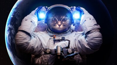 Poster Das Motiv des Kosmos und die Katze als Astronaut