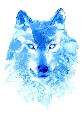 Poster Der blaue Wolf