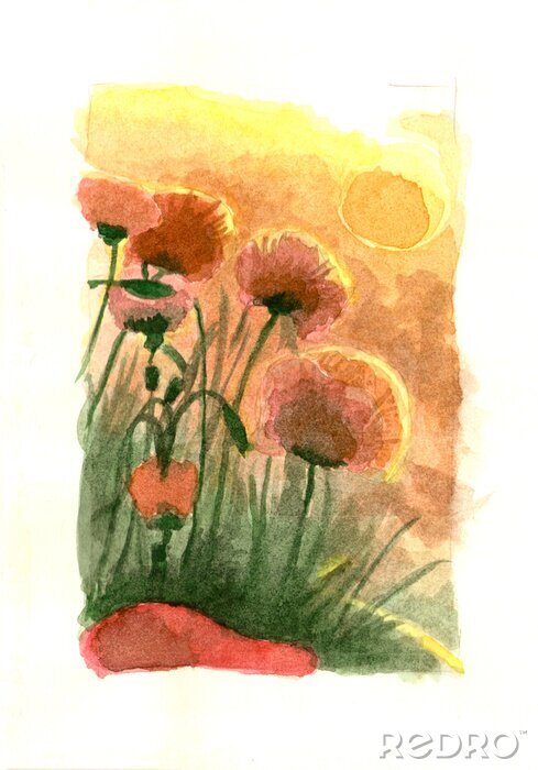 Poster Der Sonne zugewandte Pudermohnblume