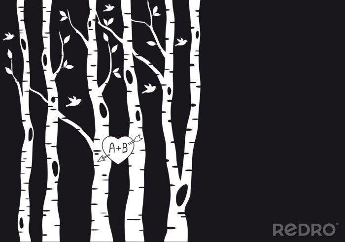 Poster Design schwarz-weiß mit Birken