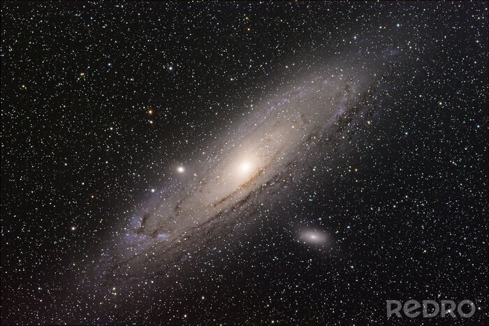 Poster Die Andromeda-Galaxie in einem sternenreichen Universum