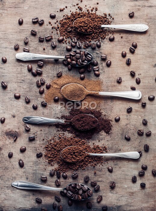 Poster Die verschiedenen Stadien der Verarbeitung von Kaffeebohnen