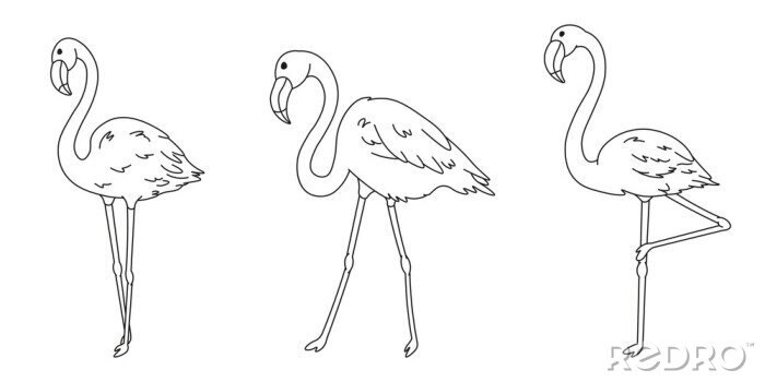 Poster Drei Flamingos zum Ausmalen