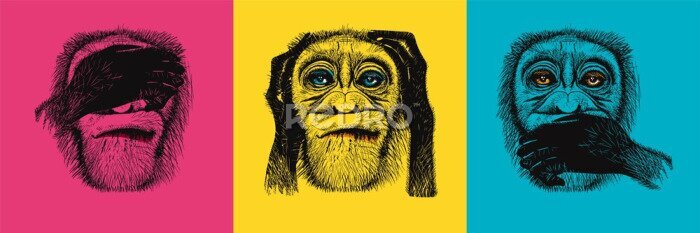 Poster Drei weise Affen auf buntem Hintergrund im Pop-Art-Stil