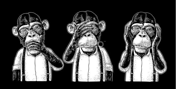 Poster Drei weise Affen auf schwarzem Hintergrund