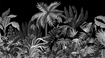 Dschungel auf schwarzem Hintergrund