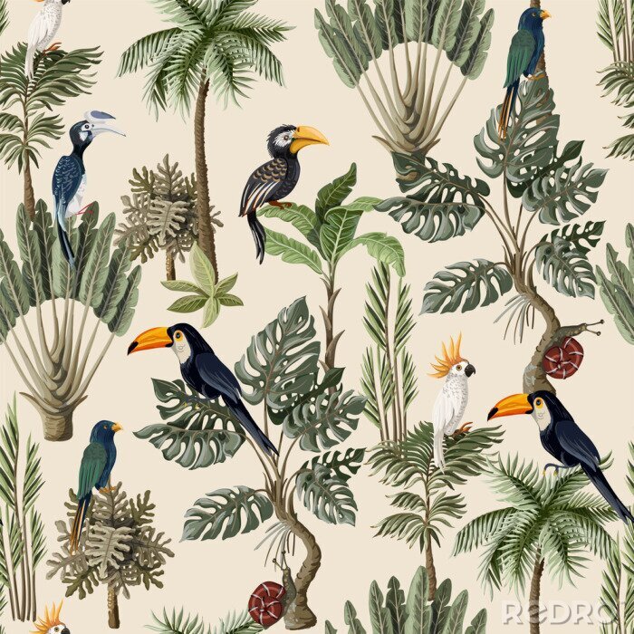 Poster Dschungel grauer Hintergrund und Vögel