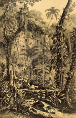 Dschungel Retro-Illustration