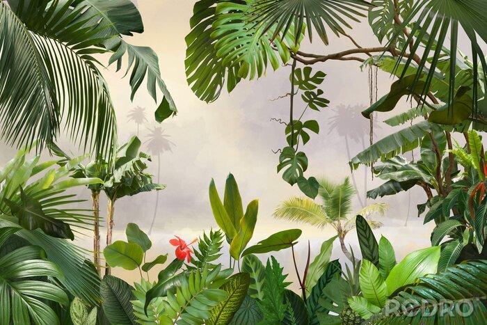 Poster Dschungel und Nature Grüner