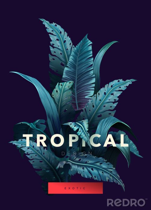Poster Dschungel und tropische Schrift