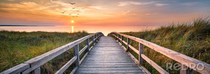Poster Dunes along the North Sea at sunset, Germany