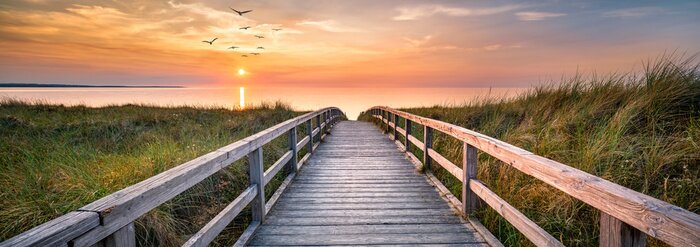 Poster Dunes along the North Sea at sunset, Germany