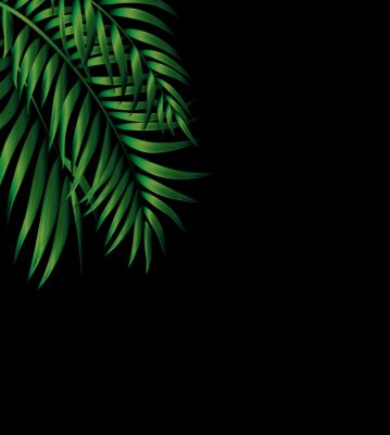 Poster Dunkelgrüne Palmblätter auf schwarzem Hintergrund
