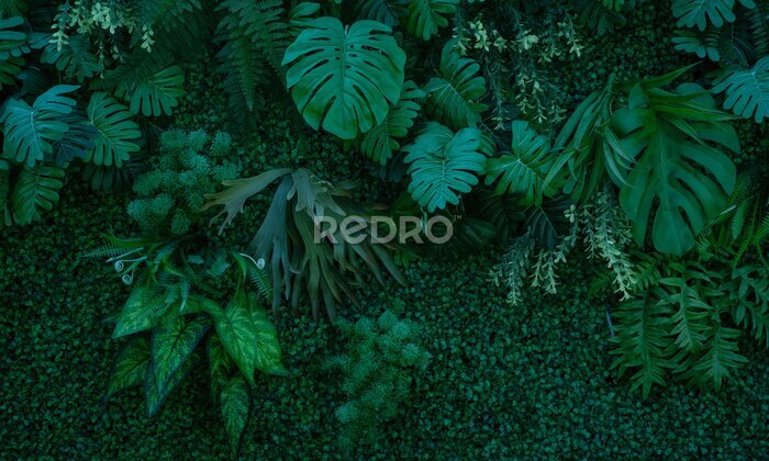 Poster Dunkelgrüne Wand