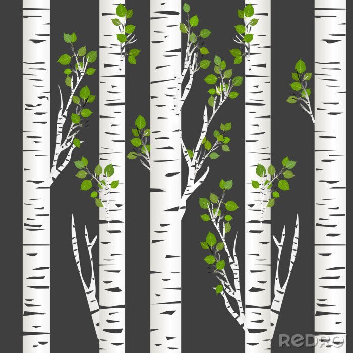 Poster Dunkle Nacht in den Birken