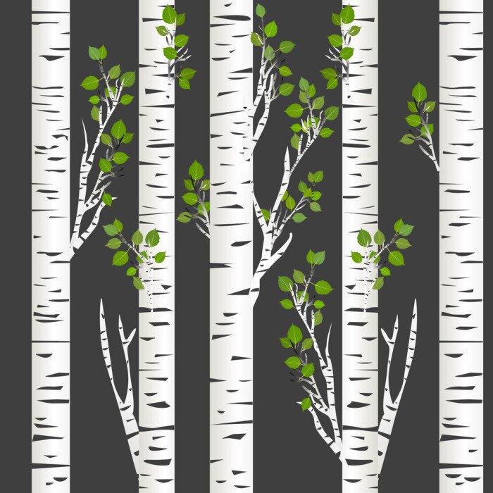 Poster Dunkle Nacht in den Birken