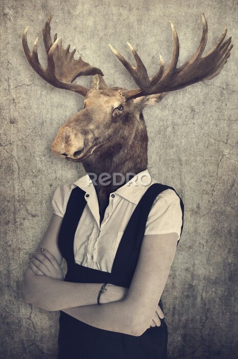 Poster Ein Elch in Menschenkleidung