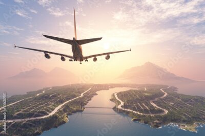 Poster Ein Flugzeug fliegt über eine tropische Insel