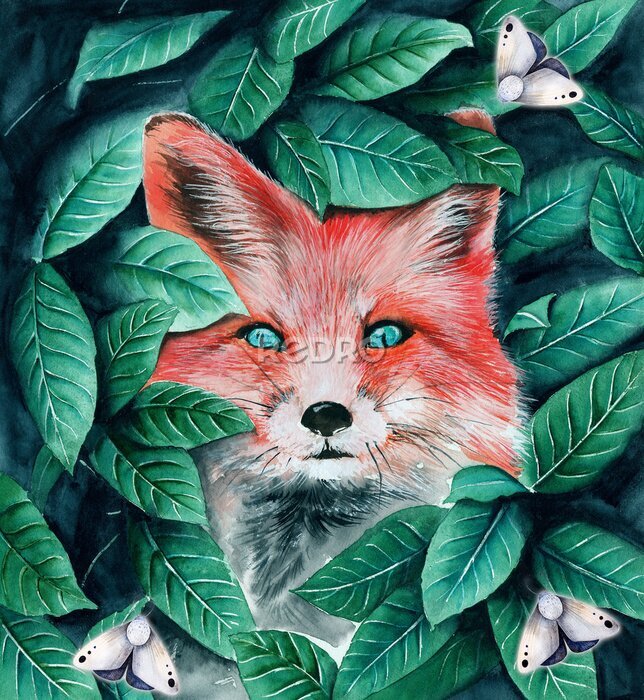 Poster Ein Fuchs, versteckt zwischen den Blättern