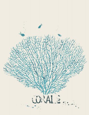 Poster Ein Korallenzweig vor weißem Hintergrund