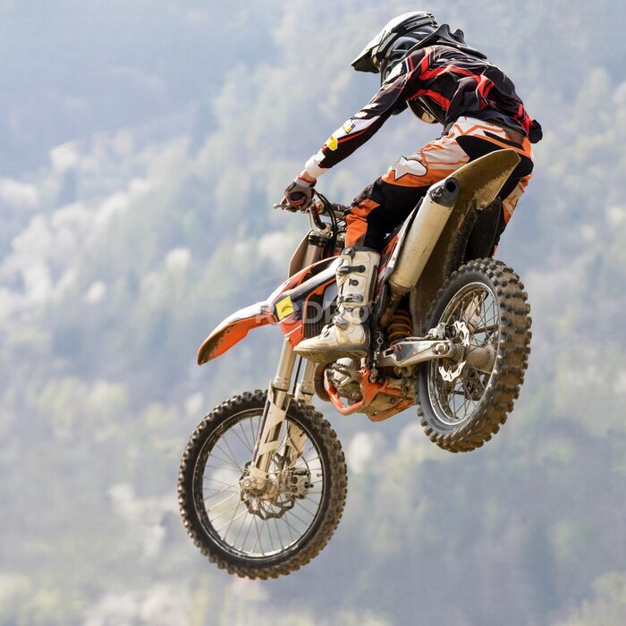 Poster Ein Motorradfahrer im Flug vor einem Waldhintergrund