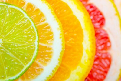 Poster Ein Muster aus bunten Zitrusscheiben