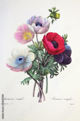 Poster Ein Strauß bunter Mohnblumen im Retro-Stil