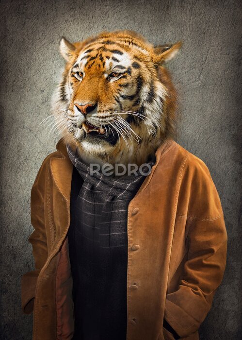 Poster Ein Tiger im Menschengewand