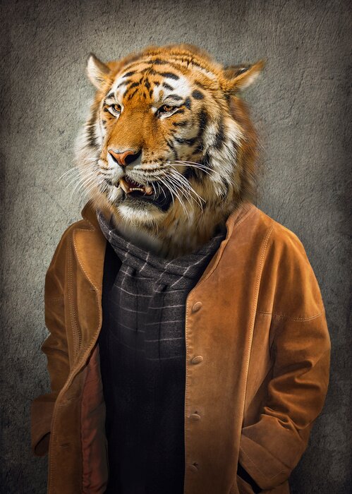 Poster Ein Tiger im Menschengewand