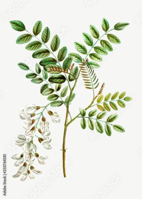 Poster Ein Zweig mit Blättern und Blüten