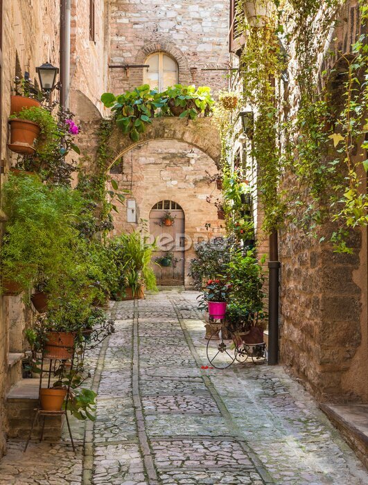 Poster Eine charmante Straße mit einem Bogentor