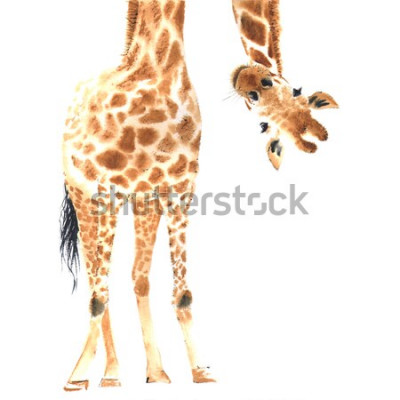 Poster Eine Grafik einer Giraffe auf weißem Hintergrund im Aquarellstil