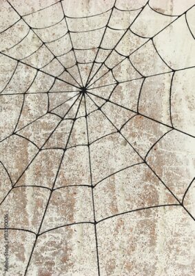 Poster Eine Grafik mit einem Spinnennetz auf Betonhintergrund