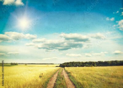 Poster Eine im nostalgischen Stil fotografierte Feldwiese
