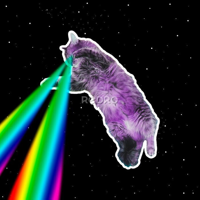 Poster Eine Katze mit Regenbogenlasern