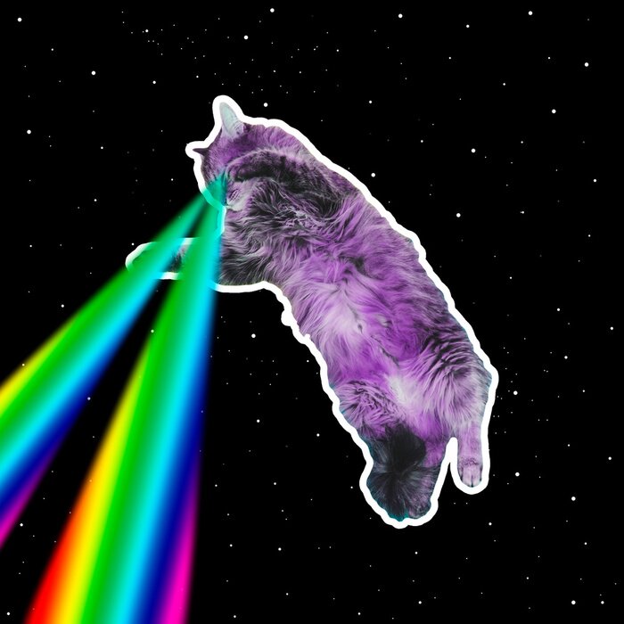 Poster Eine Katze mit Regenbogenlasern