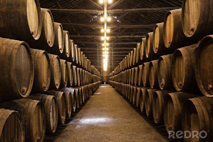 Poster Eine riesige Portweinkellerei voller Weinfässer