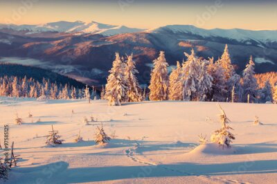 Poster Eine schneebedeckte Berglichtung