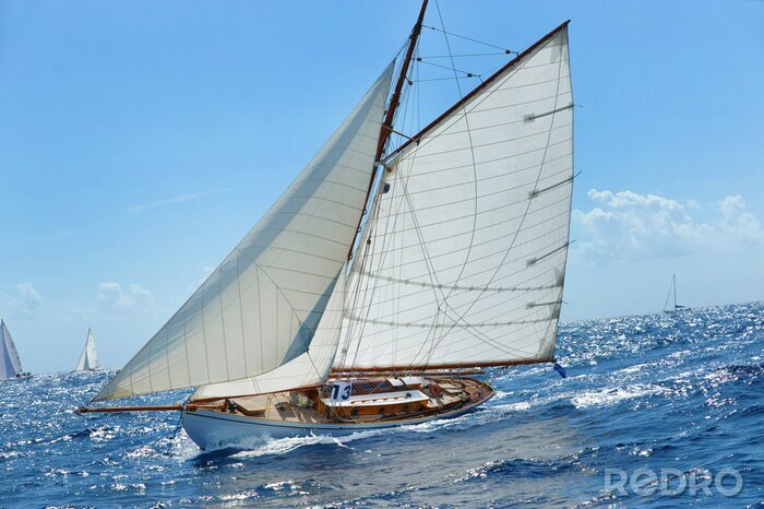 Poster Eine Segelyacht segelt auf einem ruhigen Meer