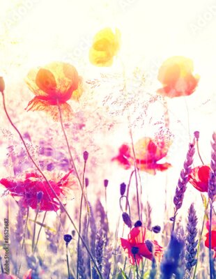 Poster Eine Wiese voller Wildblumen im Licht des Sonnenaufgangs